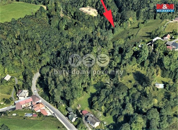 Prodej, Les, Koberovy