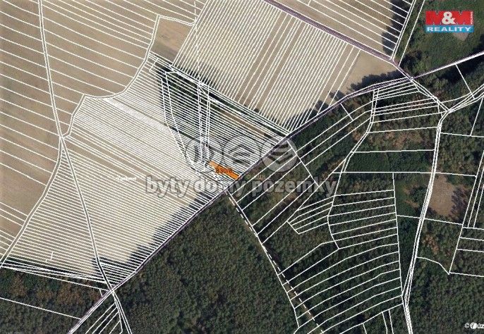 Prodej, Les, Skoronice