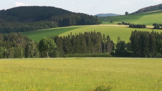 Prodej, Hotel, penzion, Borušov