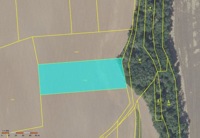 Prodej, Pole, Nupaky