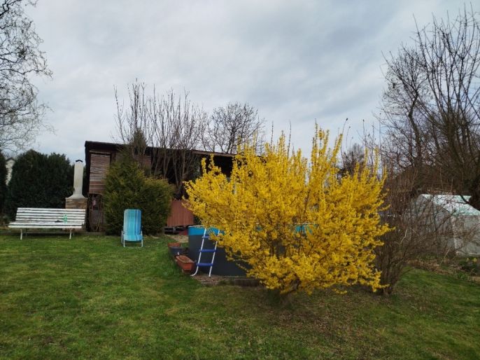 Prodej, Zahrada, Havířov