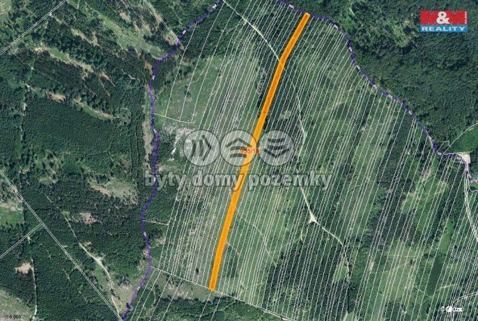 Prodej, Les, Nová Hradečná