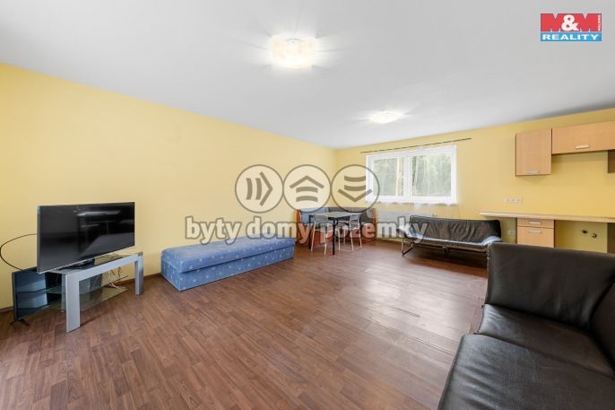 Prodej, Obchod a služby, Vilémov