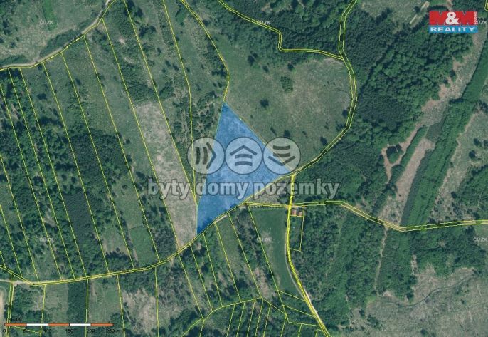 Prodej, Les, Jetětice