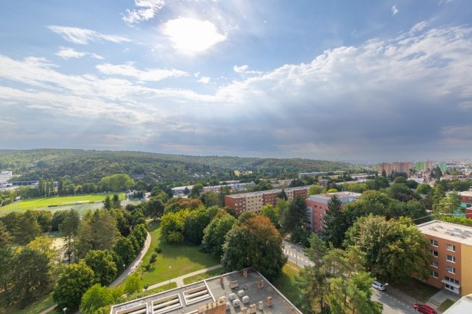 Prodej, Byt 1+kk, Brno