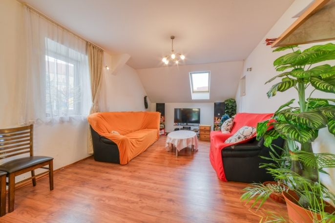 Prodej, Obchod a služby, Žlutice