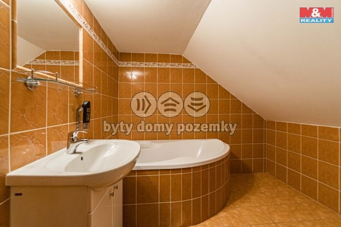 Prodej, Hotel, penzion, Černá Voda