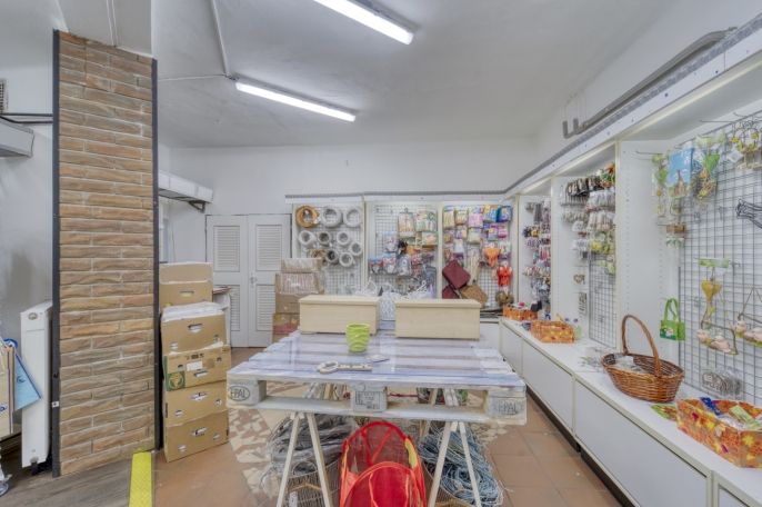 Pronájem, Obchod a služby, Plzeň