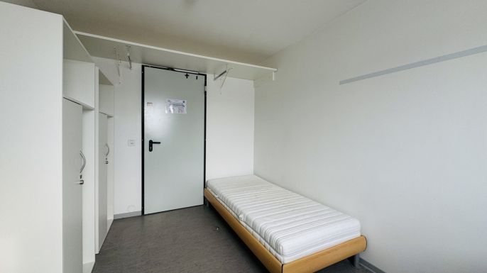 Prodej, Ostatní, Planá