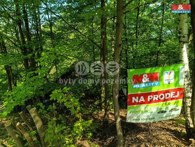 Prodej, Chata, Rychnov nad Kněžnou