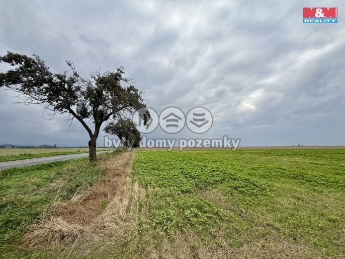 Prodej, Pole, Bohuslavice