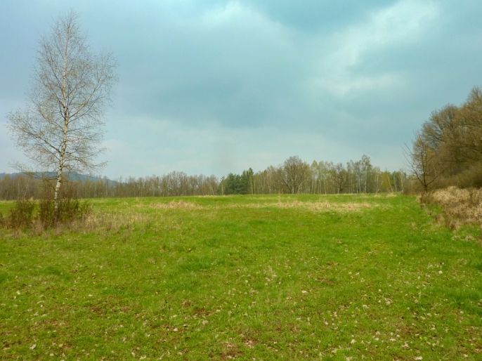 Prodej, Louka, Stružnice