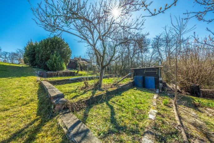 Prodej, Zahrada, Kosmonosy