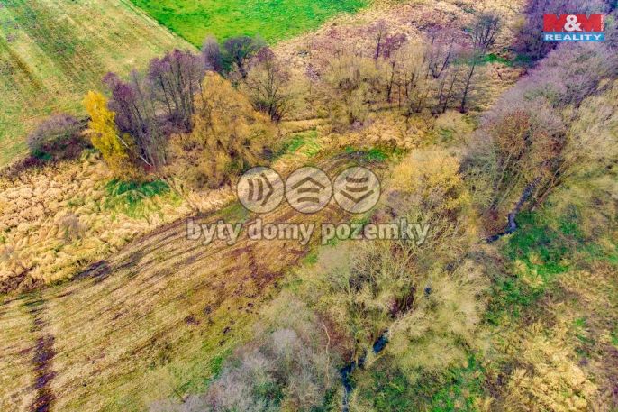 Prodej, Pole, Mochtín