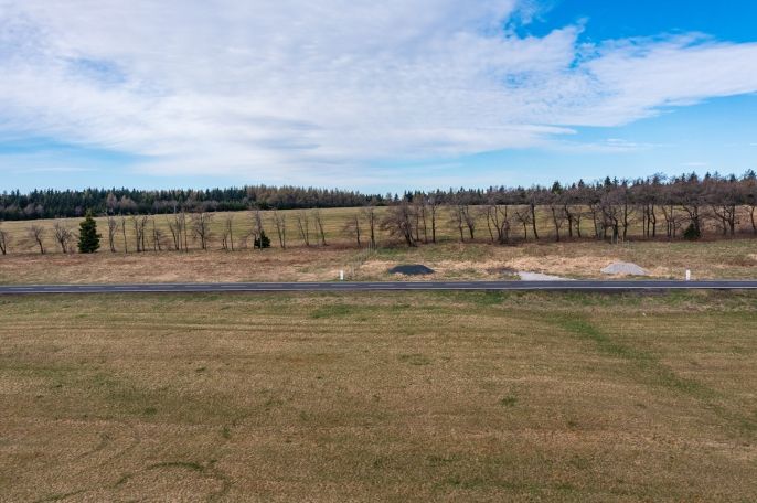 Prodej, Zahrada, Moldava