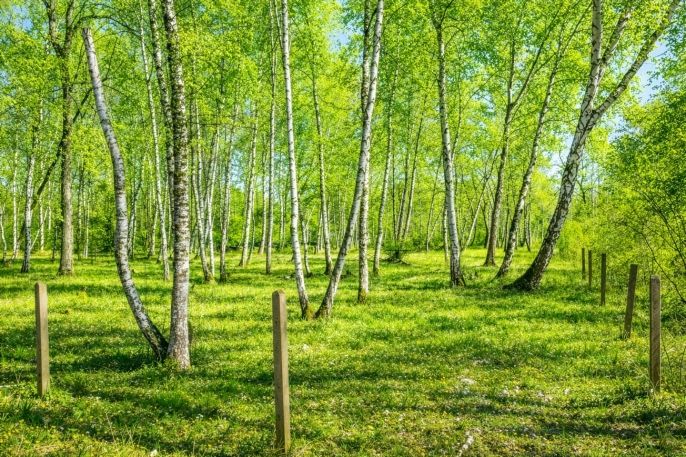 Prodej, Pozemek k bydlení, Hradištko