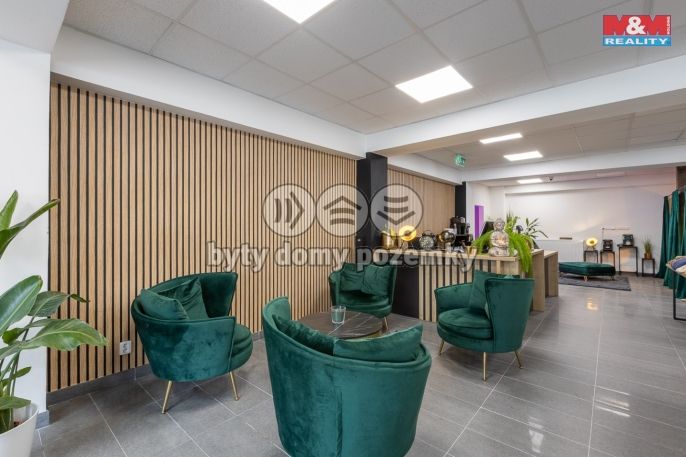 Pronájem, Obchodní objekt, Louny