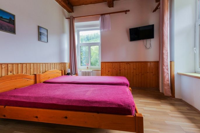 Prodej, Hotel, penzion, Holčovice