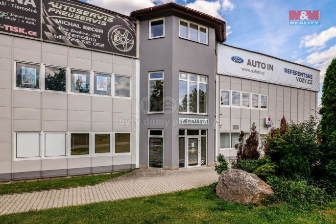 Pronájem, Obchod a služby, Třemošná