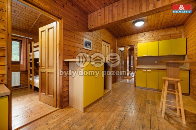 Prodej, Hotel, penzion, Bartošovice v Orlických horách