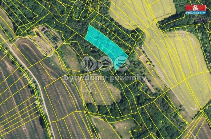 Prodej, Les, Traplice