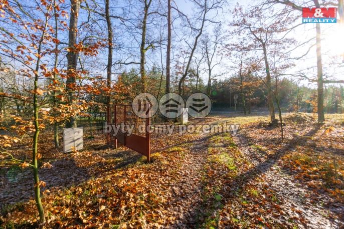 Prodej, Chata, Týniště nad Orlicí