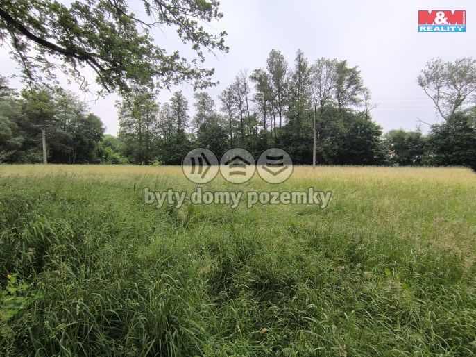 Prodej, Les, Střelské Hoštice