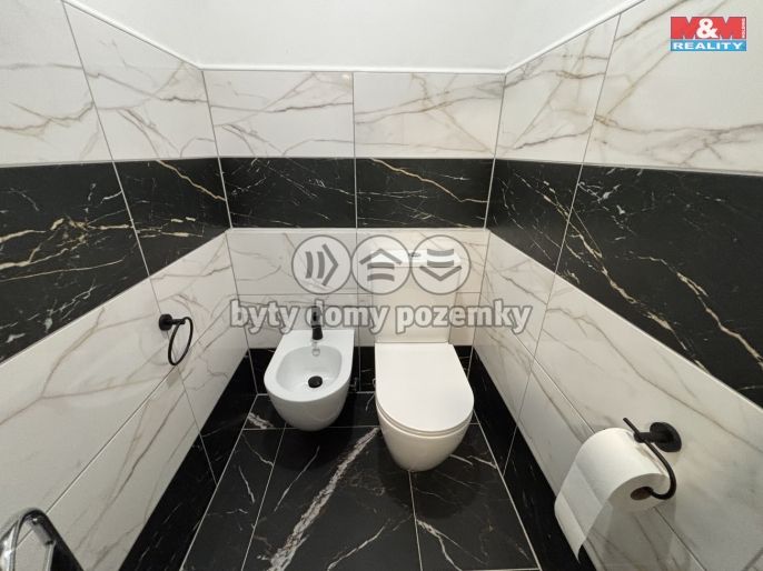 Pronájem, Rodinný dům, Obříství