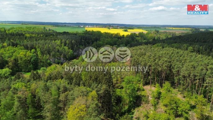 Prodej, Les, Černýšovice