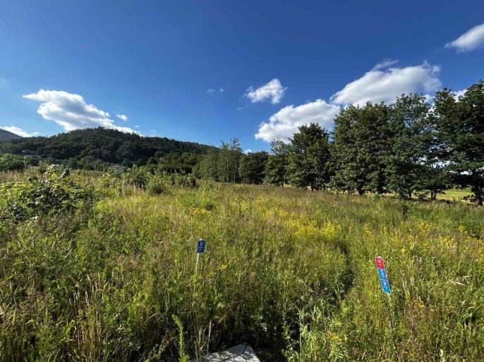 Prodej, Pozemek k bydlení, Krupka