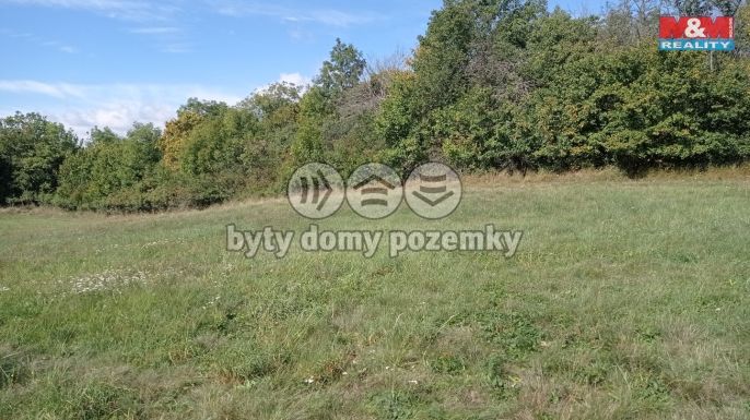 Prodej, Louka, Jenčice