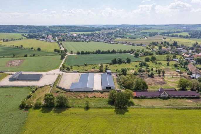 Prodej, Komerční pozemky, Cerekvice nad Bystřicí