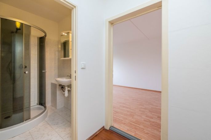 Pronájem, Byt 1+kk, Praha