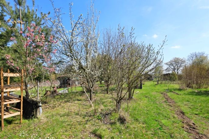 Prodej, Zahrada, Čáslav