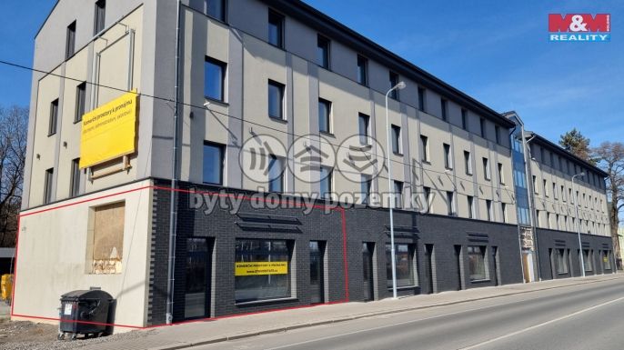 Pronájem, Obchod a služby, Český Těšín