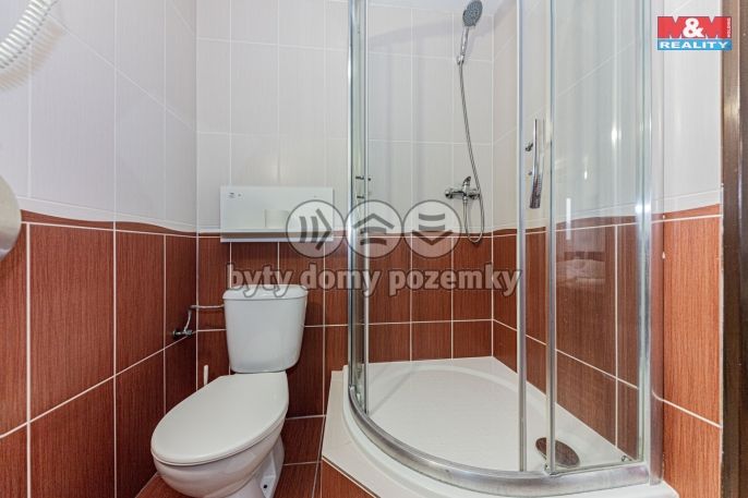 Pronájem, Byt 1+kk, Čáslav