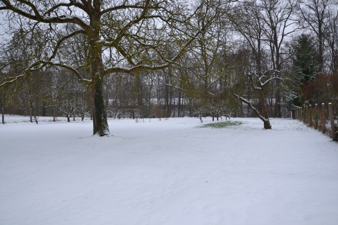 Prodej, Rodinný dům, Vestec
