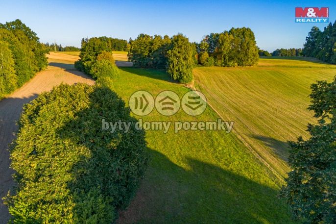 Prodej, Zemědělská usedlost, Žirovnice