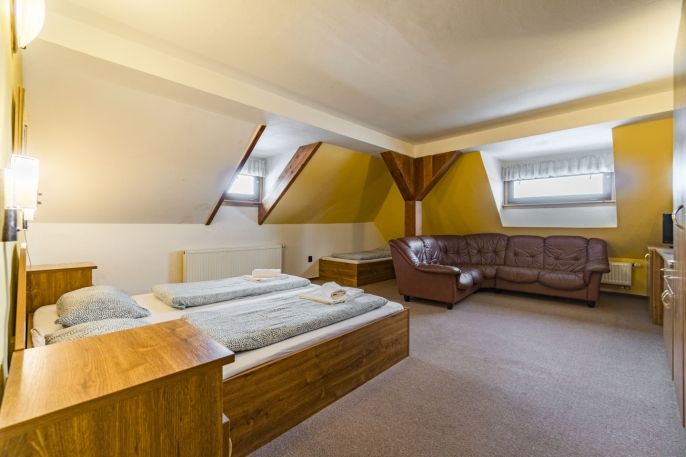 Prodej, Hotel, penzion, Černá Voda
