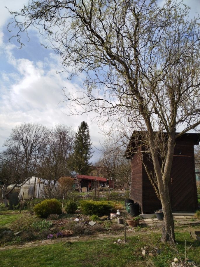 Prodej, Zahrada, Havířov