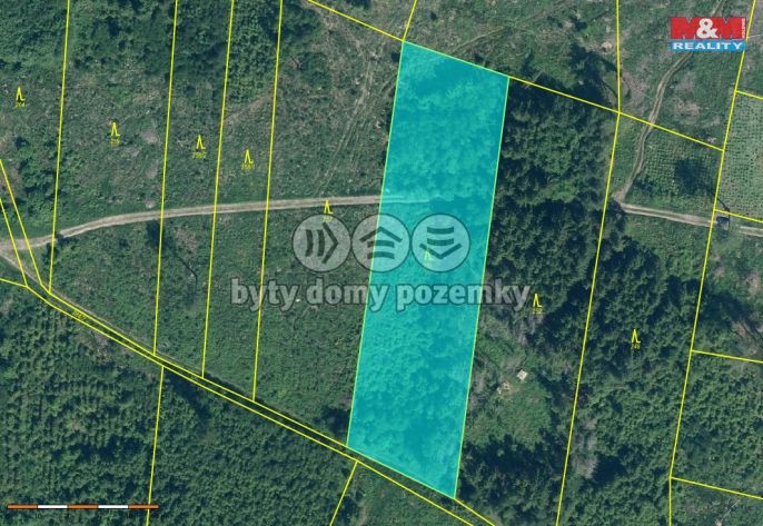 Prodej, Les, Kolinec