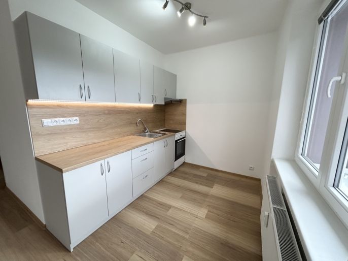 Pronájem, Byt 1+kk, Louny