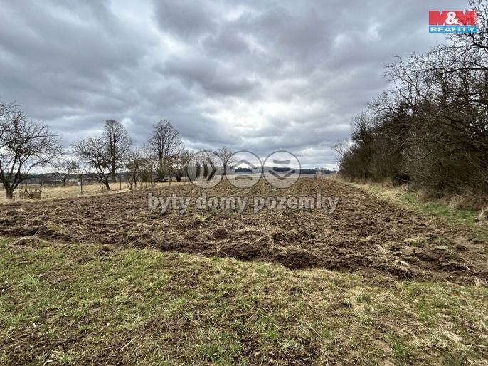 Prodej, Zahrada, Cizkrajov