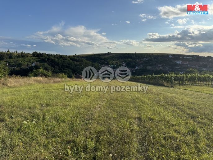 Prodej, Pozemek k bydlení, Borkovany