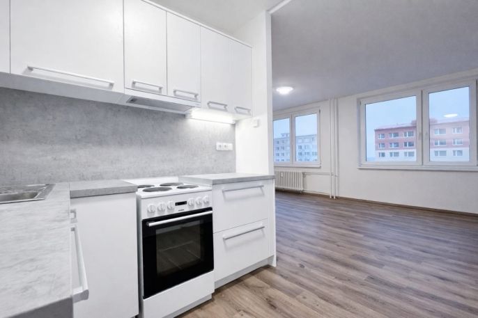 Pronájem, Byt 1+kk, Most