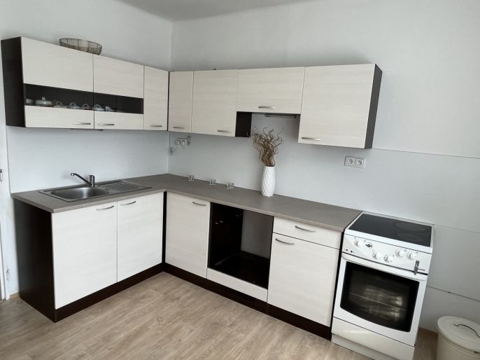 Pronájem, Rodinný dům, Návsí