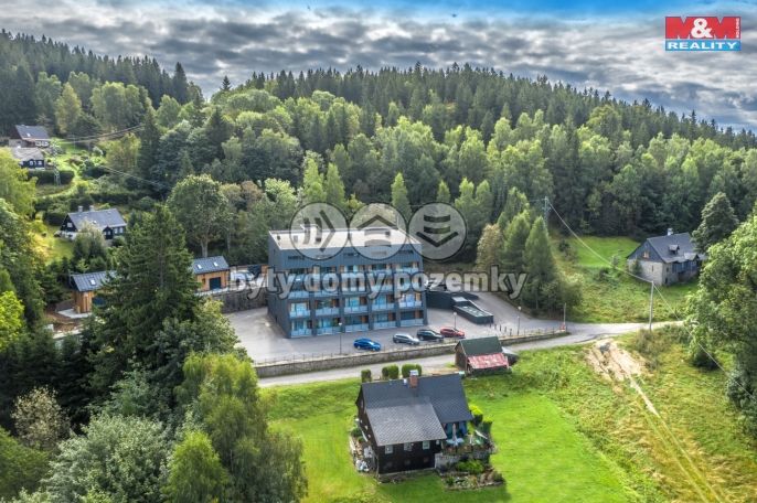 Prodej, Byt 1+kk, Janov nad Nisou