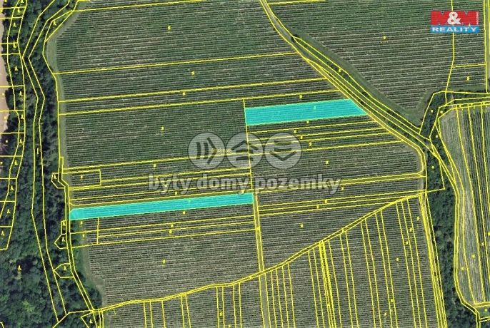 Prodej, Vinice, Hostějov