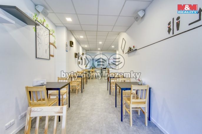 Pronájem, Obchodní objekt, Třemošná