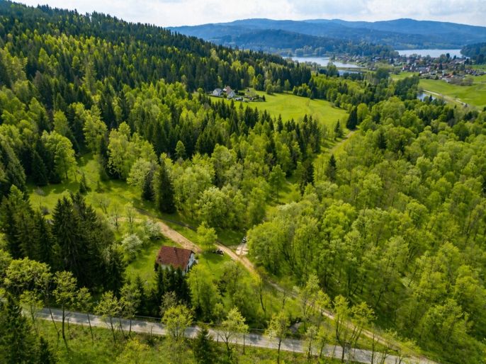 Prodej, Chata, Frymburk